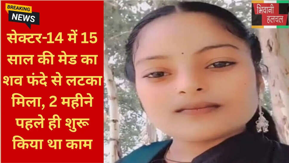 हरियाणा ताजा समाचार