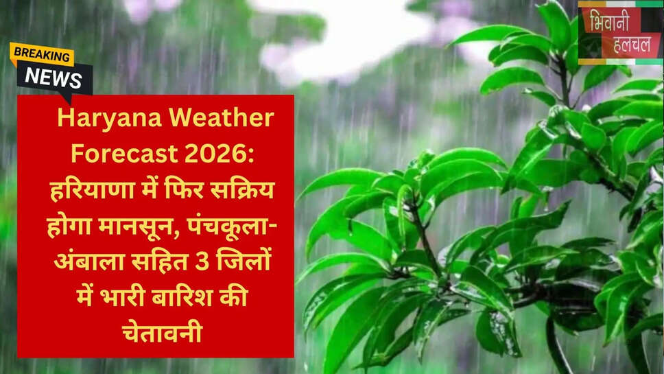 हरियाणा मानसून समाचार
