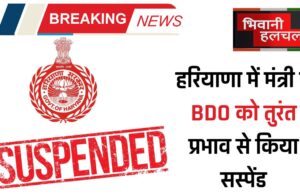 BDO Suspend