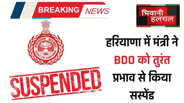 BDO Suspend