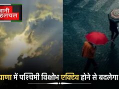 Haryana Weather: हरियाणा में पश्चिमी विक्षोभ कर देगा मौसम में बड़ा बदलाव, जानें ताजा अपडेट