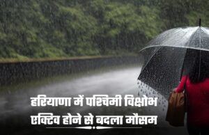 हरियाणा में पश्चिमी विक्षोभ एक्टिव होने से बदला मौसम