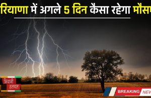 Haryana Weather : हरियाणा में अगले 5 दिन कैसा रहेगा मौसम, देखें विभाग का ताजा पूर्वानुमान 